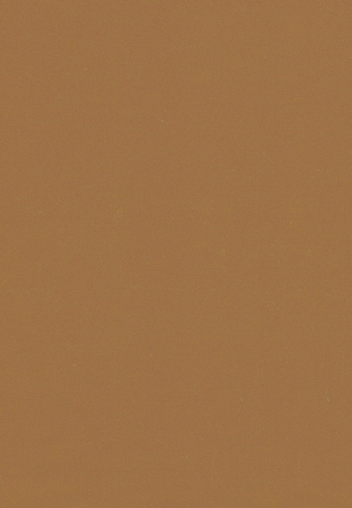 Satén Bolzáno C/42